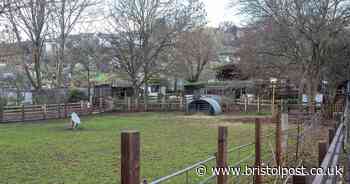 St Werburghs City Farm has decided not to reopen to the public yet