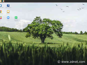 How to upgrade from Linux Mint 19.3 to the latest version Mint 20