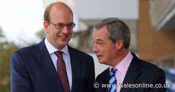 Mutiny after Brexit Party leader says he wants to abolish the Senedd