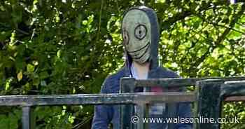 Someone in a creepy mask was watching people from the woods near a canal