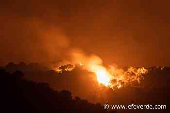 Prosiguen las labores para controlar el incendio de Quesada (Jaén) - EFEverde, el periodismo del medio ambiente