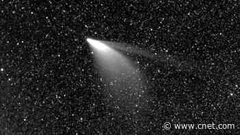 NASA's Parker Solar Probe snaps stunning view of comet Neowise     - CNET