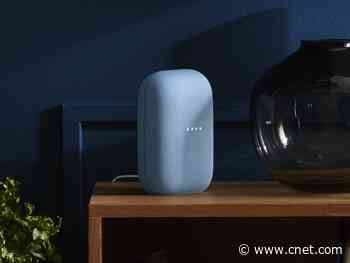 Google confirmed a new Nest home speaker is coming. Here's what we know     - CNET