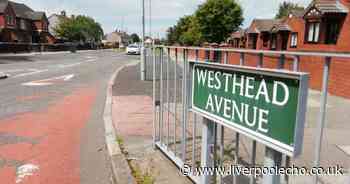 Police given new powers after three people stabbed at house party