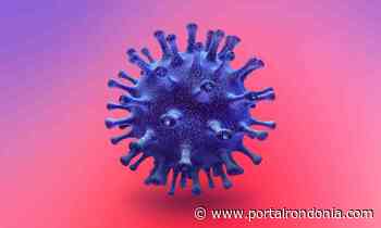 Coronavírus: Porto Velho registra somente 42 novos casos e 8 óbitos nas últimas 24h - Portal Rondonia
