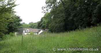 Residents' fears over pensioner's plan for cemetery in back garden of property