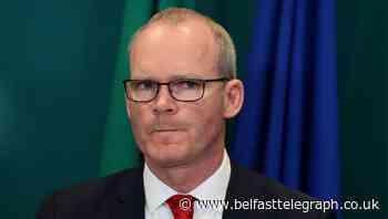 Brexit with no trade deal ‘an enormous act of self-harm’, says Coveney