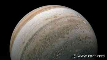 Catch a 'full Jupiter' this week and spot its moons with just binoculars     - CNET