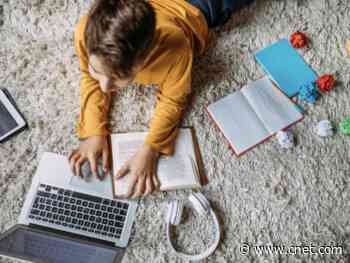 Los Angeles, San Diego schools will start with online-only learning in the fall     - CNET