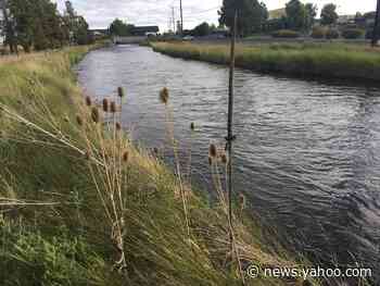 Woman races across 4 lanes of traffic, dives into canal to save child, Oregon cops say