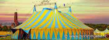 4 lionnes saisies dans un cirque installé entre Arras et Saint-Pol-sur-Ternoise - Horizon Radio