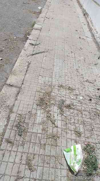 San Michele, non basta la spazzatura: "Tagliano l'erba dai marciapiedi e lasciano un letamaio davanti alle case" - Casteddu on Line