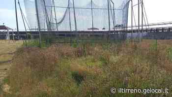 «Stadio comunale con erba alta ovunque e pista di atletica out» - Il Tirreno