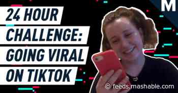 I tried to go viral on TikTok in 24 hours
