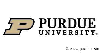 Purdue Center for Commercial Ag to host free corn and soybean outlook webinar - Purdue News Service