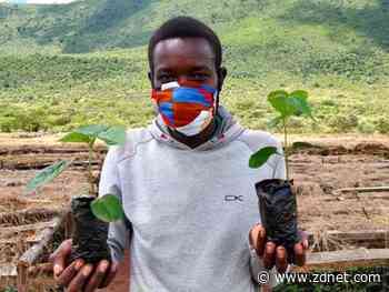 Eden deploys drone technology to help plant one tree at a time