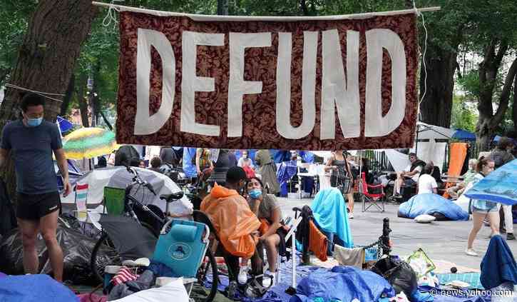 Gun Control’s Black Lives Matter Problem