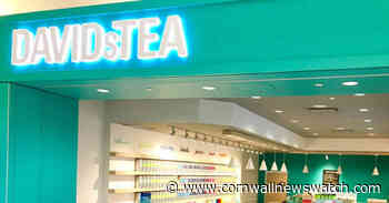 DavidsTea files for bankruptcy protection – Cornwall Newswatch - Cornwall Newswatch