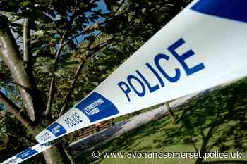 Detectives give update on Weston-super-Mare murder investigation