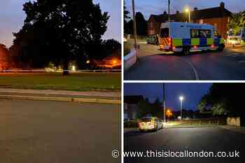 Boy, 17, stabbed in Petts Wood, Bromley