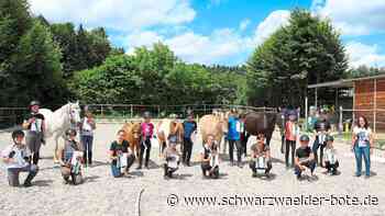Wildberg: Mehr Gelassenheit für Pferde und ihre Reiter - Wildberg - Schwarzwälder Bote
