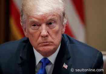 Sault Councillor Rips President Trump On Border Issue