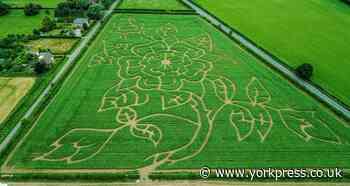 Brand new maze attraction to open in North Yorkshire