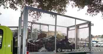 Car park left 'swamped with mess' from used nappies to poo