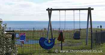 Parents asked to take precautions as play parks reopen in North Tyneside