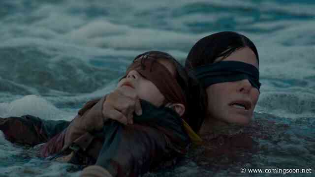Netflix Developing a Bird Box Sequel