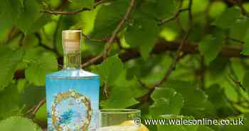 Queen's Buckingham Palace gin sells out in just eight hours