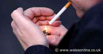 Wales moves to ban smoking outside pubs, cafes and restaurants