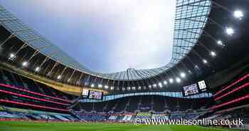 Wales consider two Premier League grounds for autumn home games