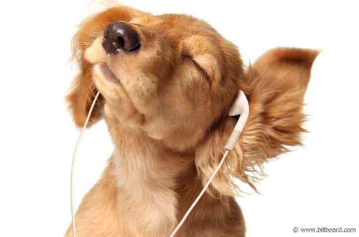 Pandemic Pause: Americans Waiting 75 Minutes Longer Every Day Before Consuming Audio, Study Finds