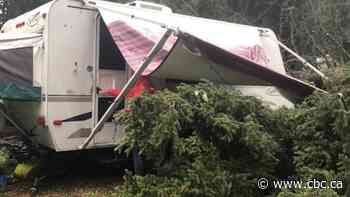 Camper destroyed, trees downed after storm hits Duck Mountain Provincial Park