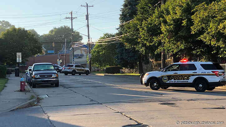 Police: Suspicious Beeping Sound Coming From Mailbox Turns Out To Be Low Battery On Mail Scanner