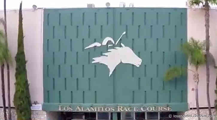 2 Horses Die After Being Injured In Races At Los Alamitos Track