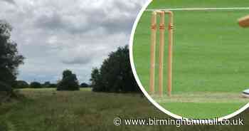 Cricket pitch plan for Solihull nature reserve sparks backlash from 300 residents - Birmingham Live