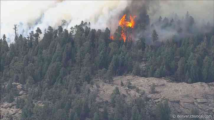 Firefighters In Evergreen Gain 25% Containment On Elephant Butte Fire ...