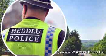 Police appeal after van driver's 'suspicious' approach to young girl