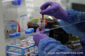 Coronavirus immunity may only last a few months, study suggests - Barrhead News
