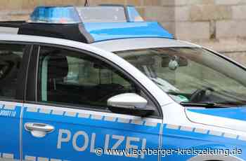 Polizeibericht aus Rutesheim: Autofahrt endet mit Blutentnahme - Leonberger Kreiszeitung - Leonberger Kreiszeitung