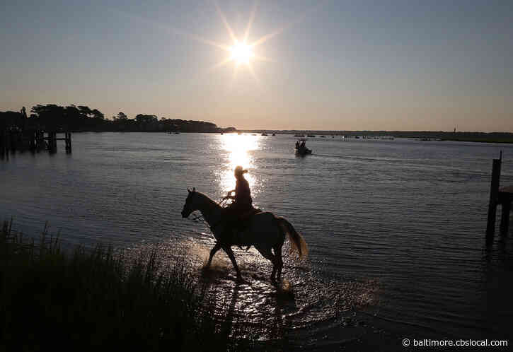 Chincoteague Island Voted Best Coastal Small Town In U.S.