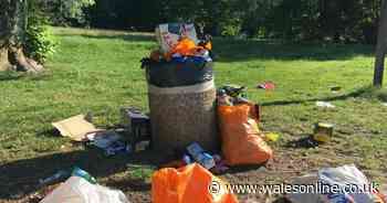 This council wants to hire an enforcement company to clamp down on litter louts