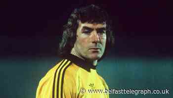 Communities Minister Caral Ni Chuilin backs calls for statue at Windsor Park of legend Pat Jennings