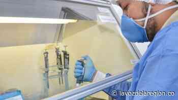 Reportan primeros casos de contagio por COVID-19 en Tarqui - Noticias