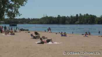 Typical summer day in the forecast for Ottawa - CTV News Ottawa