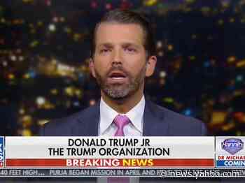 Donald Trump Jr., Ted Cruz, and other top Republicans praise New York Times editor Bari Weiss' resignation letter slamming the paper