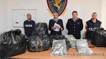 Droga Modena, famiglia viaggiava in auto con 32 chili di marijuana - il Resto del Carlino