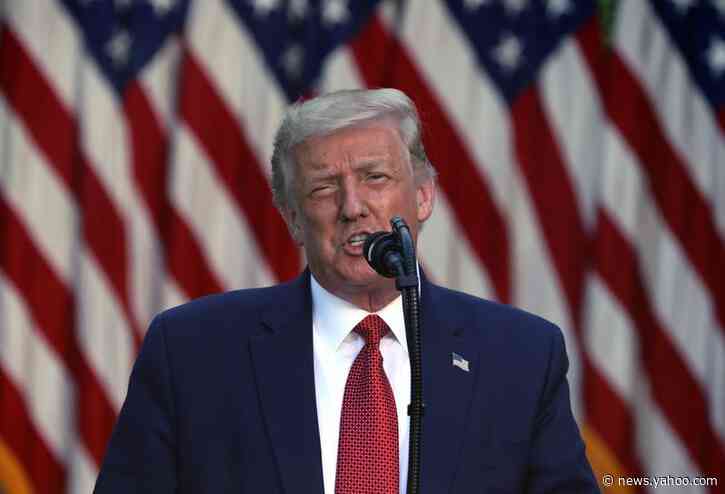 Trump downplays police violence against Black people, says 'more white people' killed